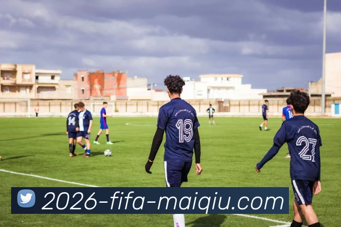 世界杯买球网站发展历程